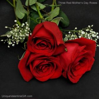 Three Red Mother's Day Roses 